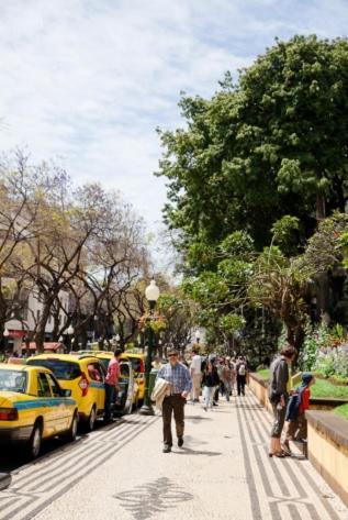 Central Funchal Apartment - Garden - Free Parking & Ac 외부 사진