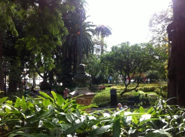 Central Funchal Apartment - Garden - Free Parking & Ac 외부 사진