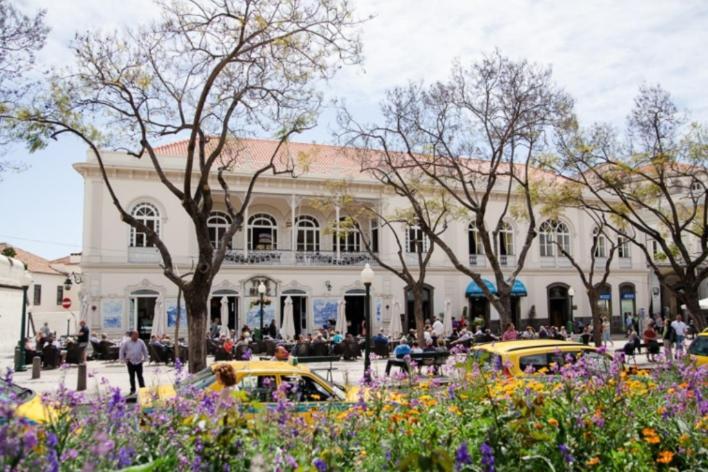 Central Funchal Apartment - Garden - Free Parking & Ac 외부 사진